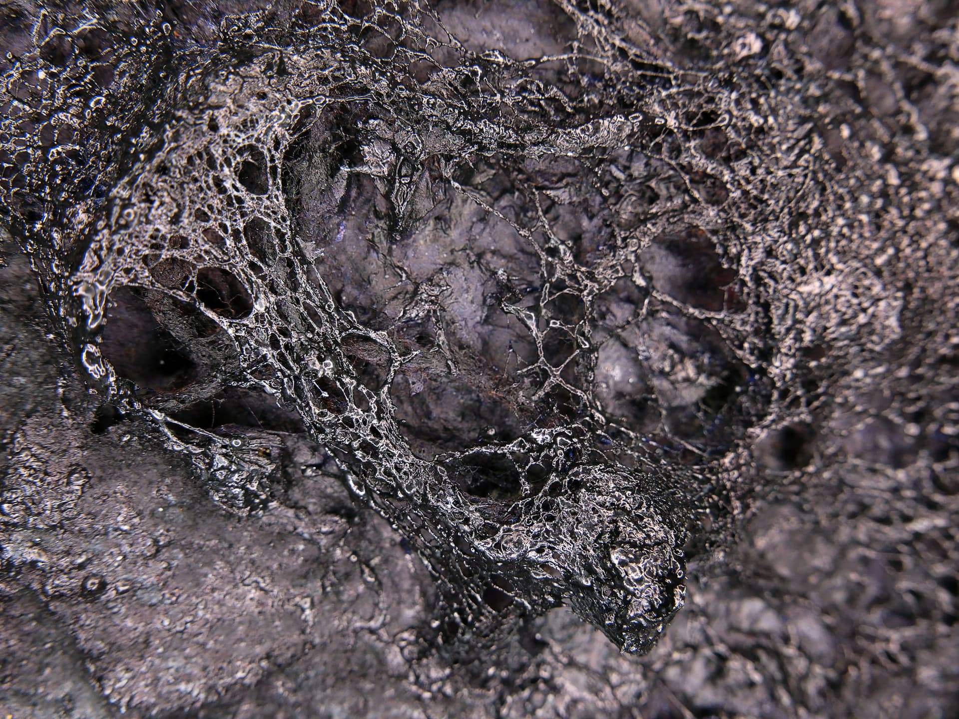 The Old Man and the Sea - Görsel 5