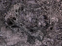 The Old Man and the Sea - Görsel 5