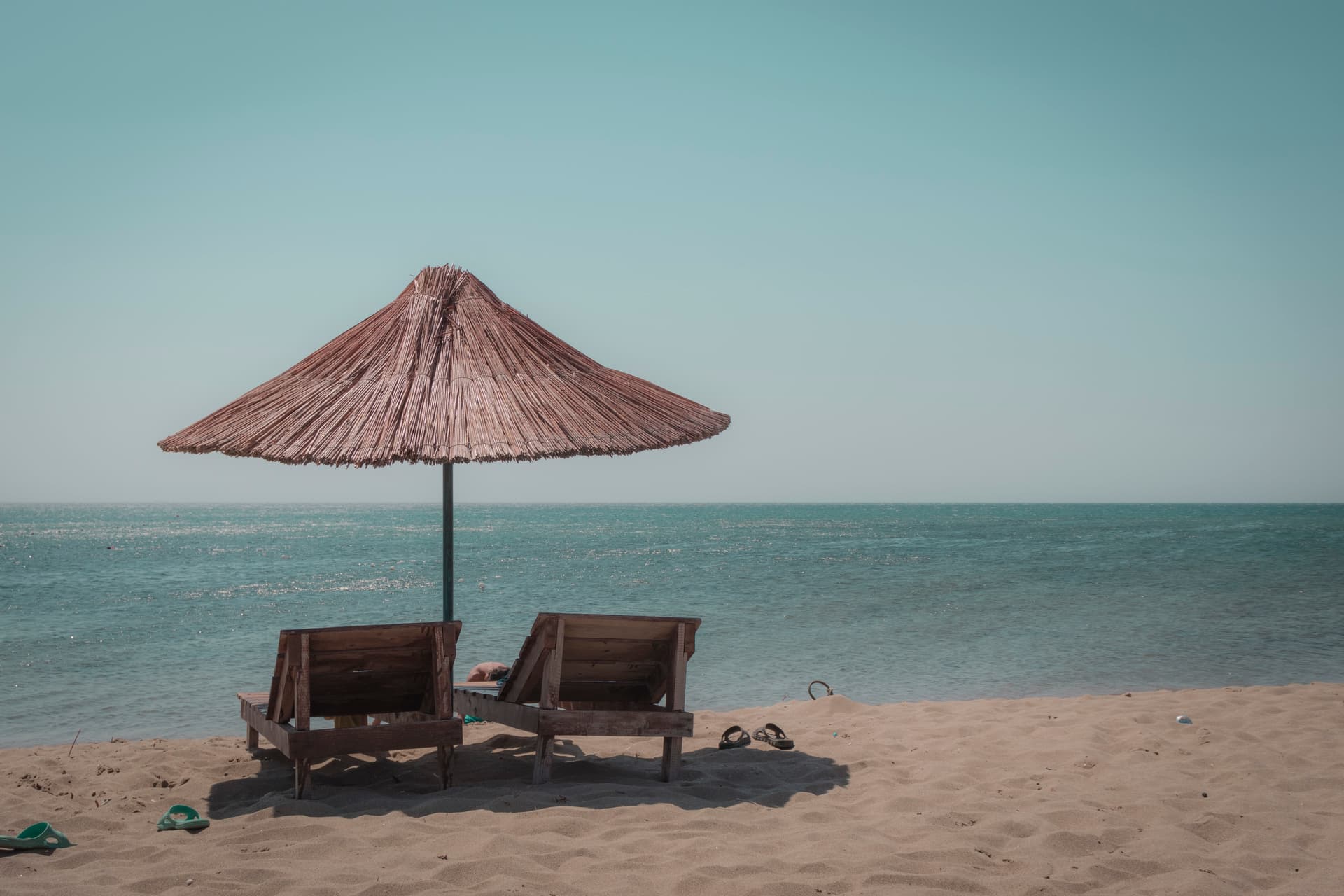 Nevruz Otu - Görsel 2