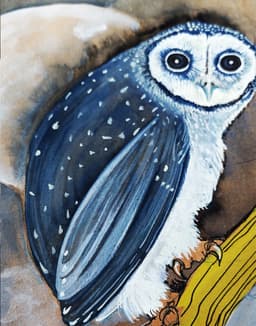 owl and fullmoon - Görsel 1