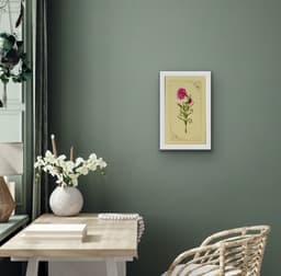 KARANFİL - Görsel 5