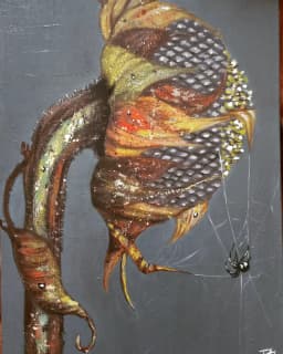 Ankebut  - Görsel 2