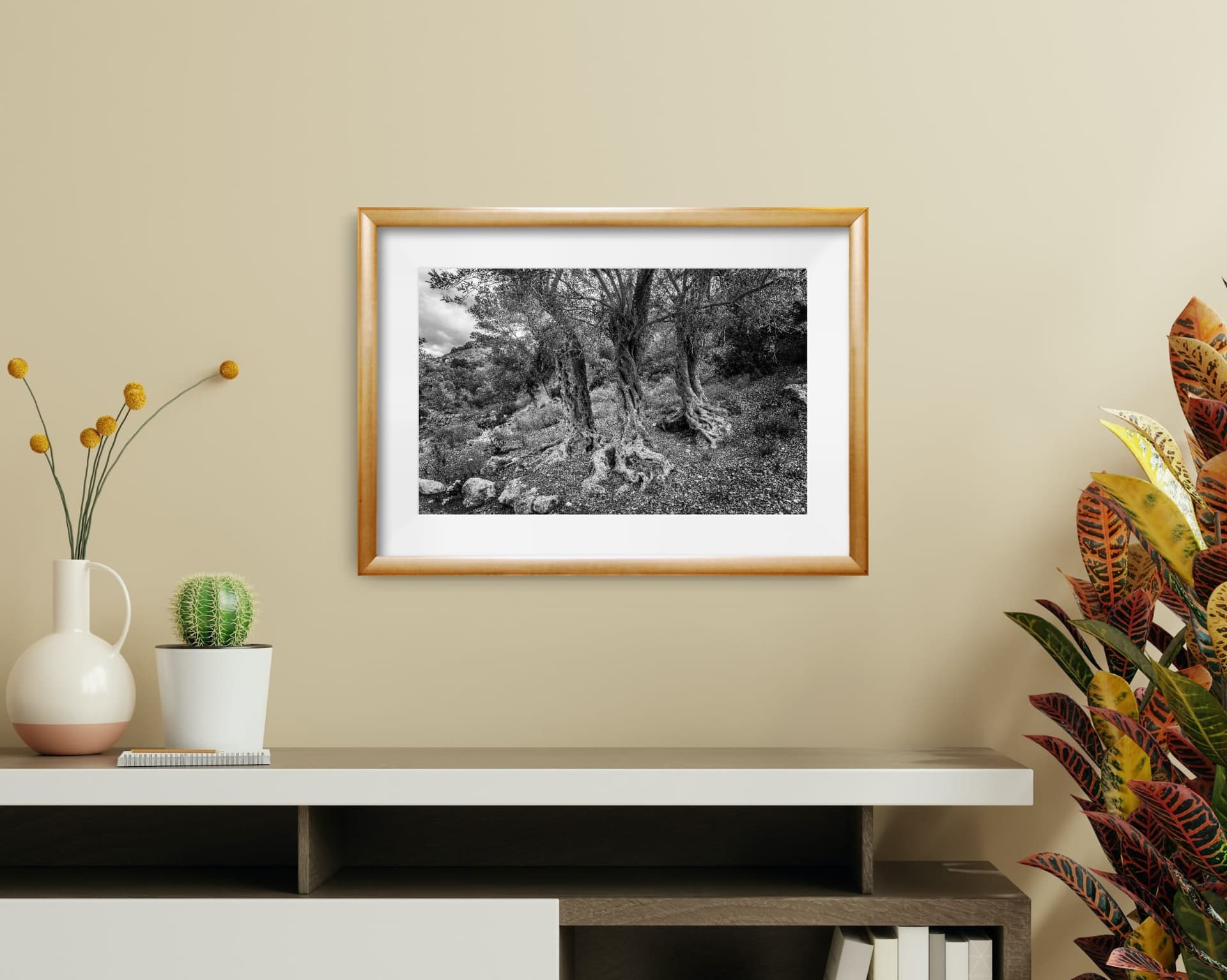 Zeytin Ağacı -1 - Görsel 3