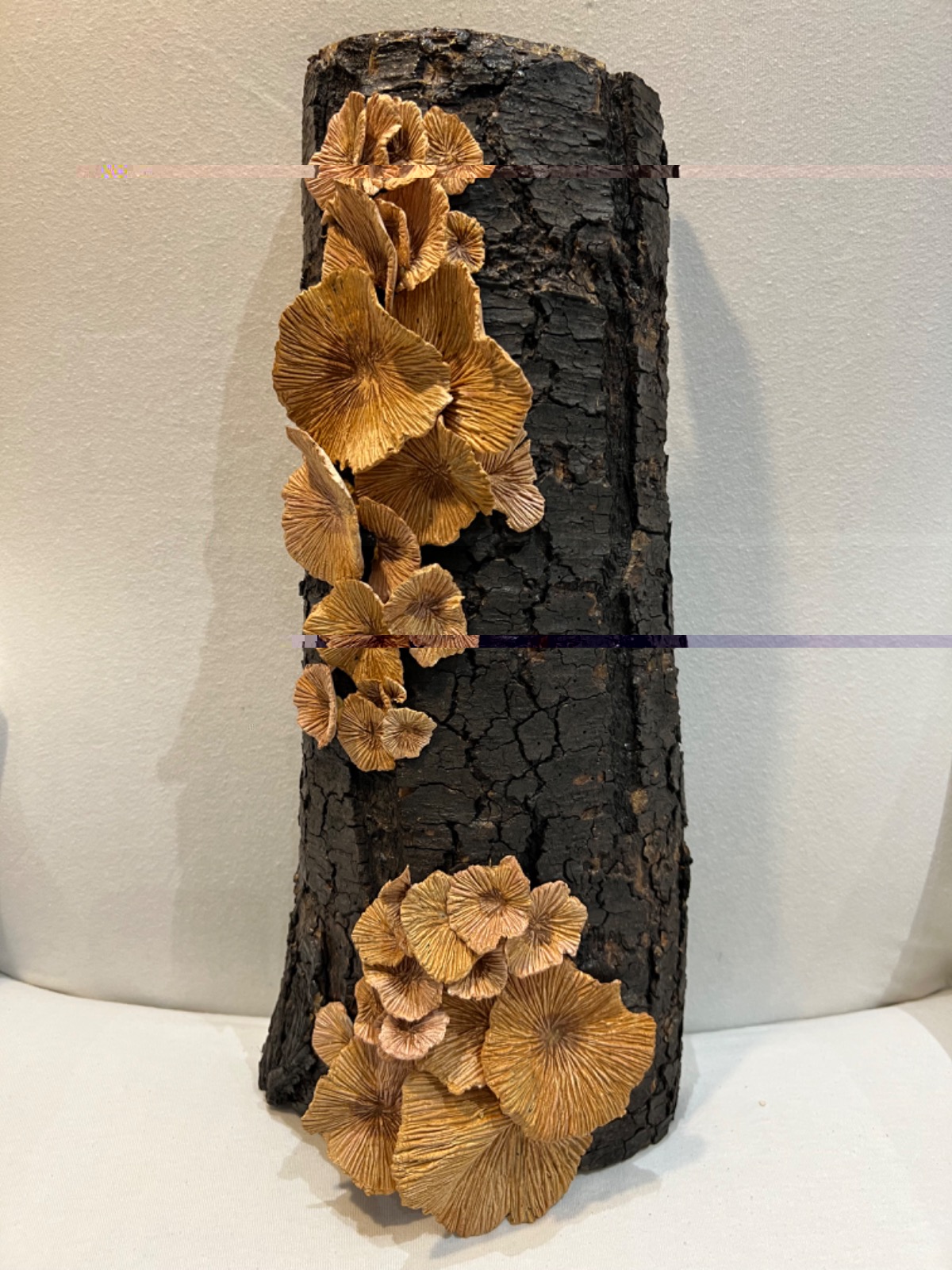 İsimsiz - Görsel 1