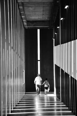 Generation - Görsel 1