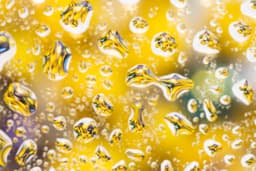 bilyeler - Görsel 1