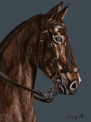 Şengül Güngör, adlı sanatçı profil fotoğrafı