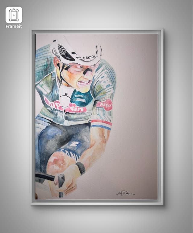 Mathieu Van der Poel