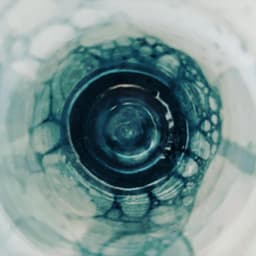 Serra Sönmez Profil Resmi