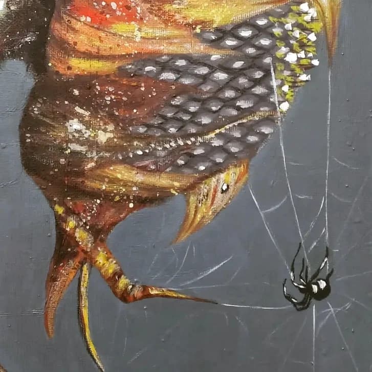 Ankebut  - Görsel 1