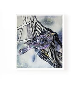 purple bird - Görsel 1