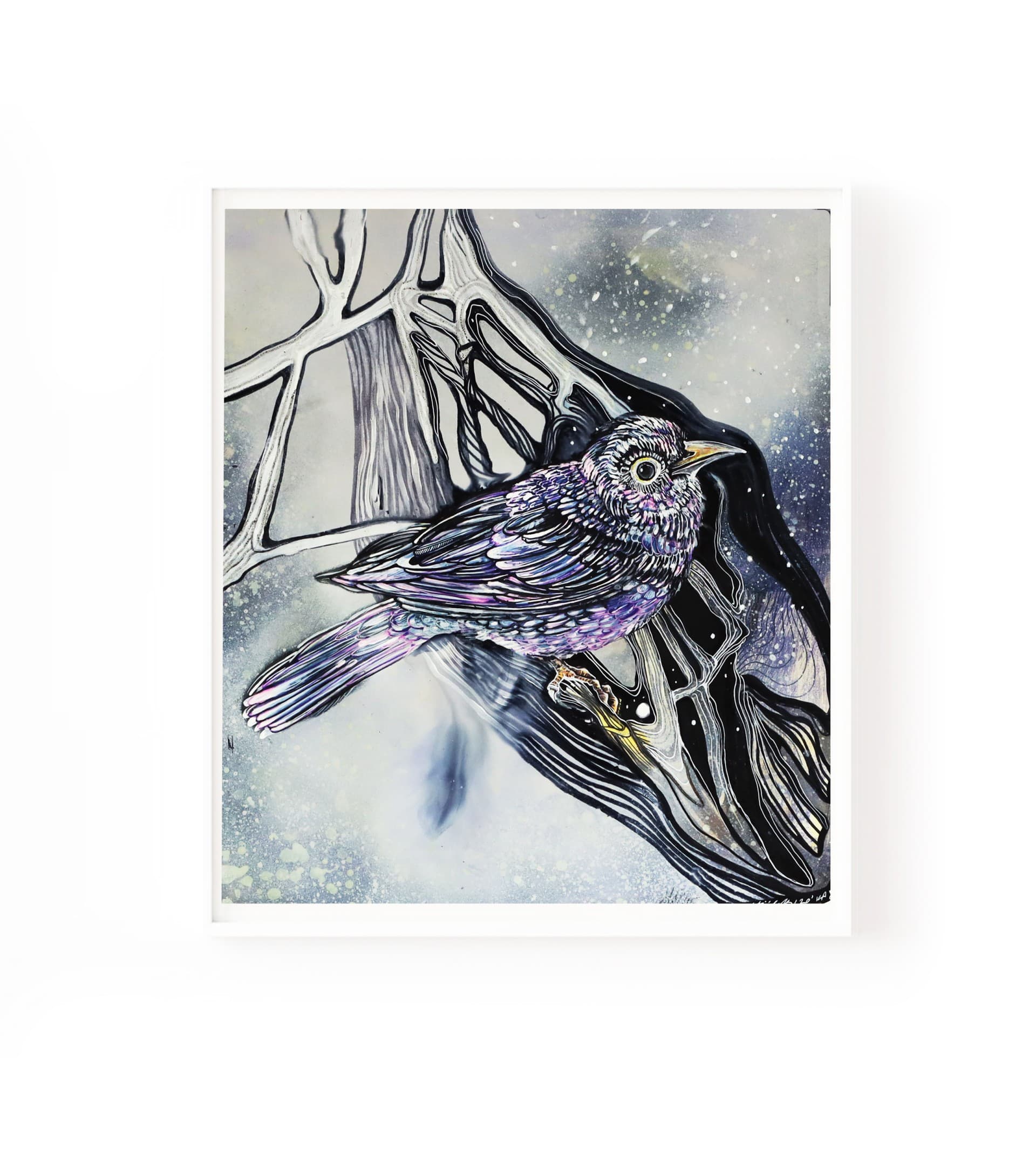 purple bird