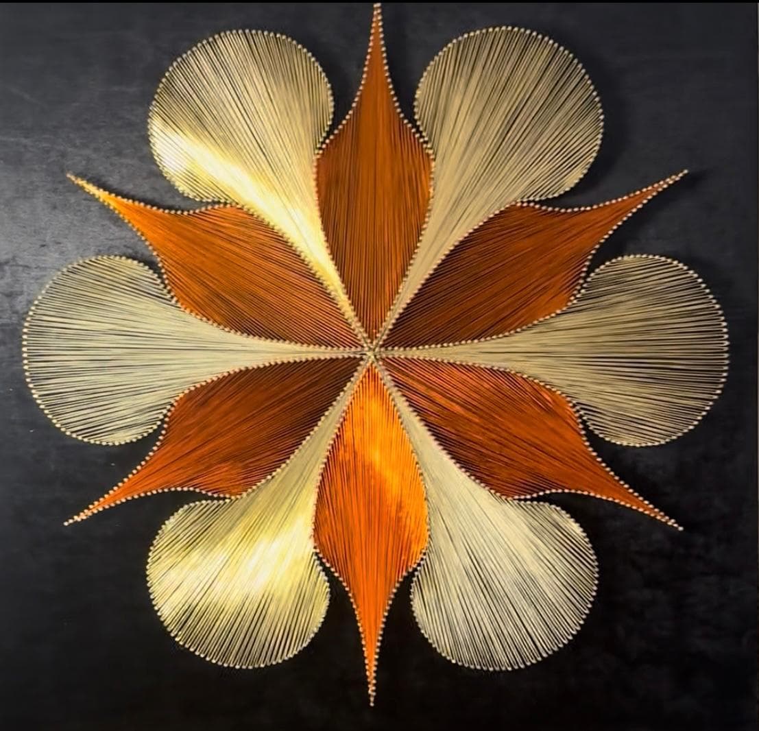 Doğaya Dön - Filografi - Görsel 1