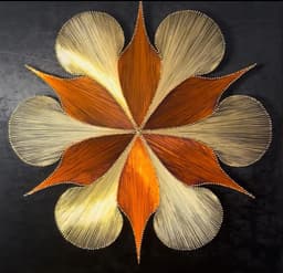 Doğaya Dön - Filografi - Görsel 1