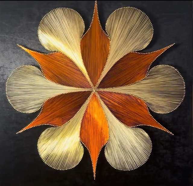 Doğaya Dön - Filografi