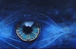 İlk Emir  - Görsel 1