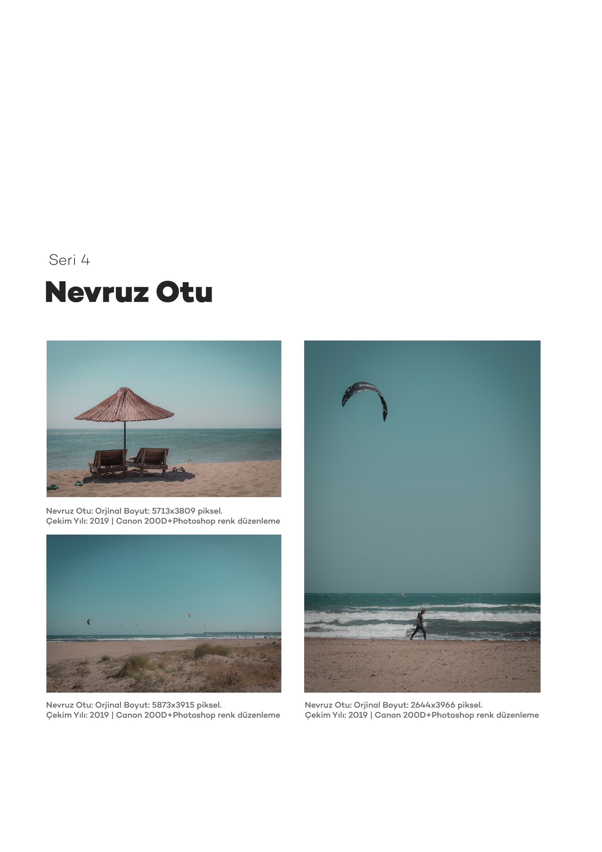 Nevruz Otu - Görsel 1