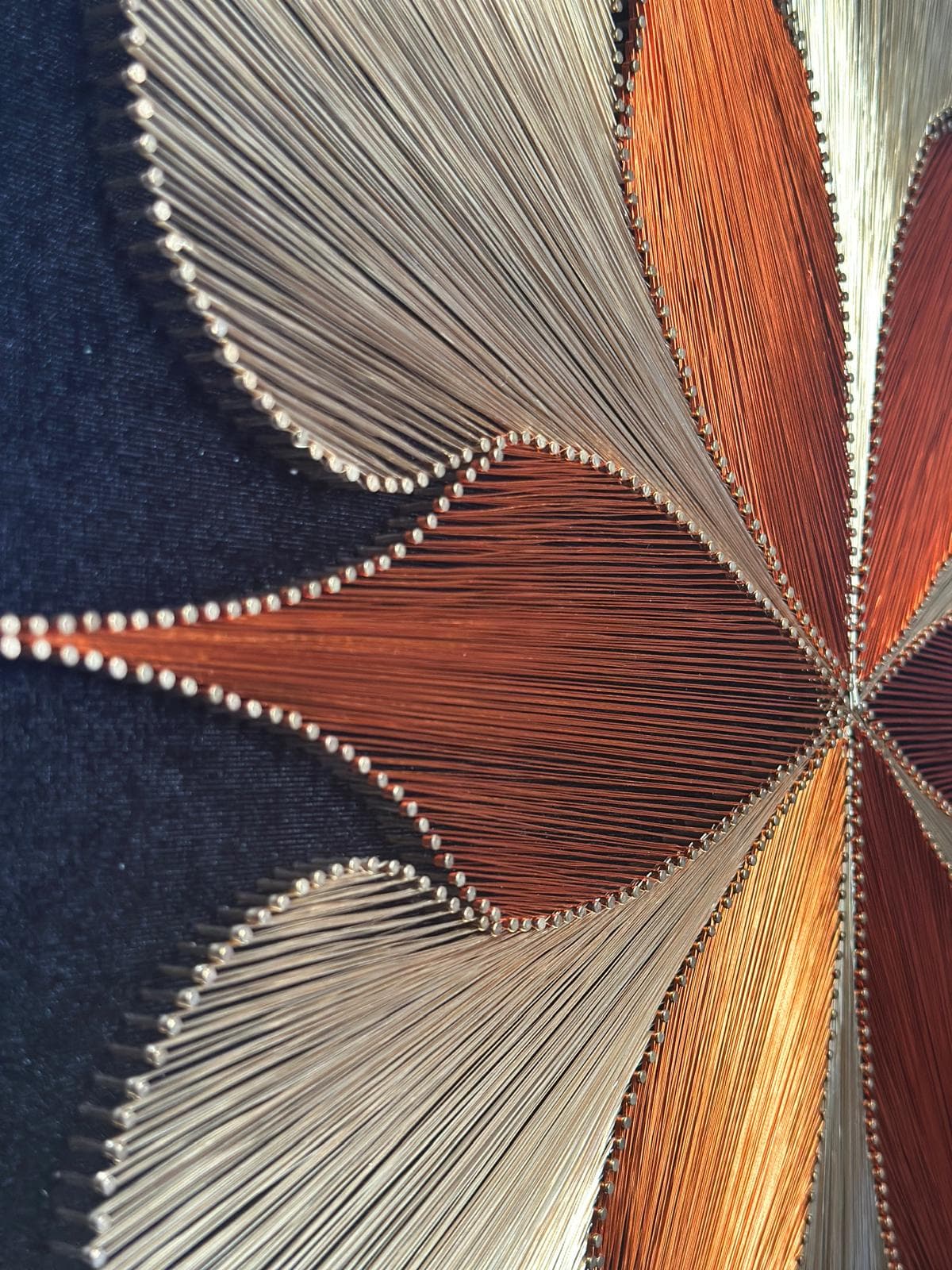 Doğaya Dön - Filografi - Görsel 2