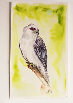 HAWK - Görsel 3