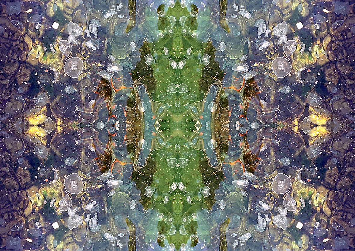 Medusae 1 - Görsel 1