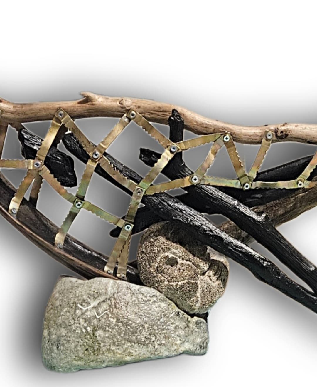 kuluçka - Görsel 3