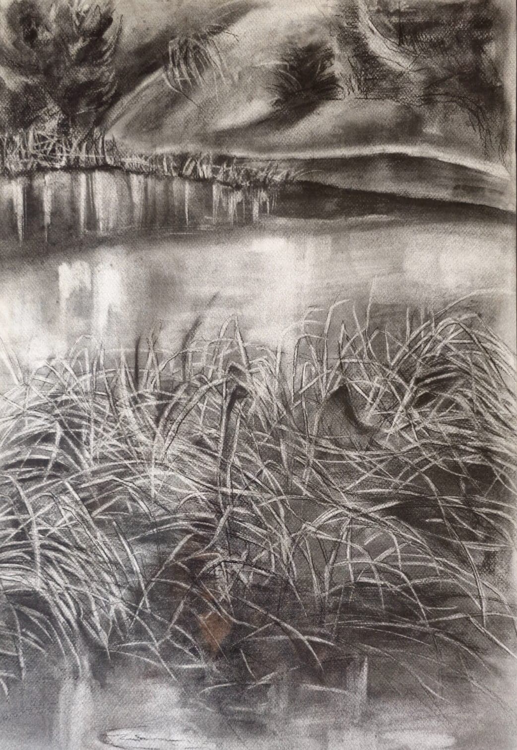 Sazlıklar - Görsel 1