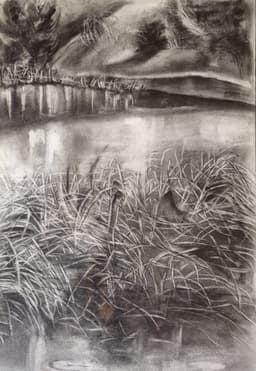 Sazlıklar - Görsel 1