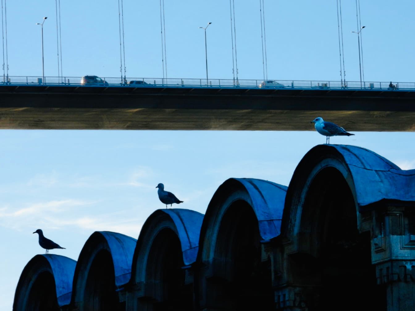 Yaşam Ritmi - Görsel 1