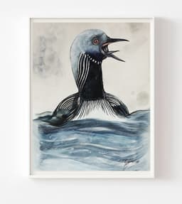 Pacific Loon - Görsel 1