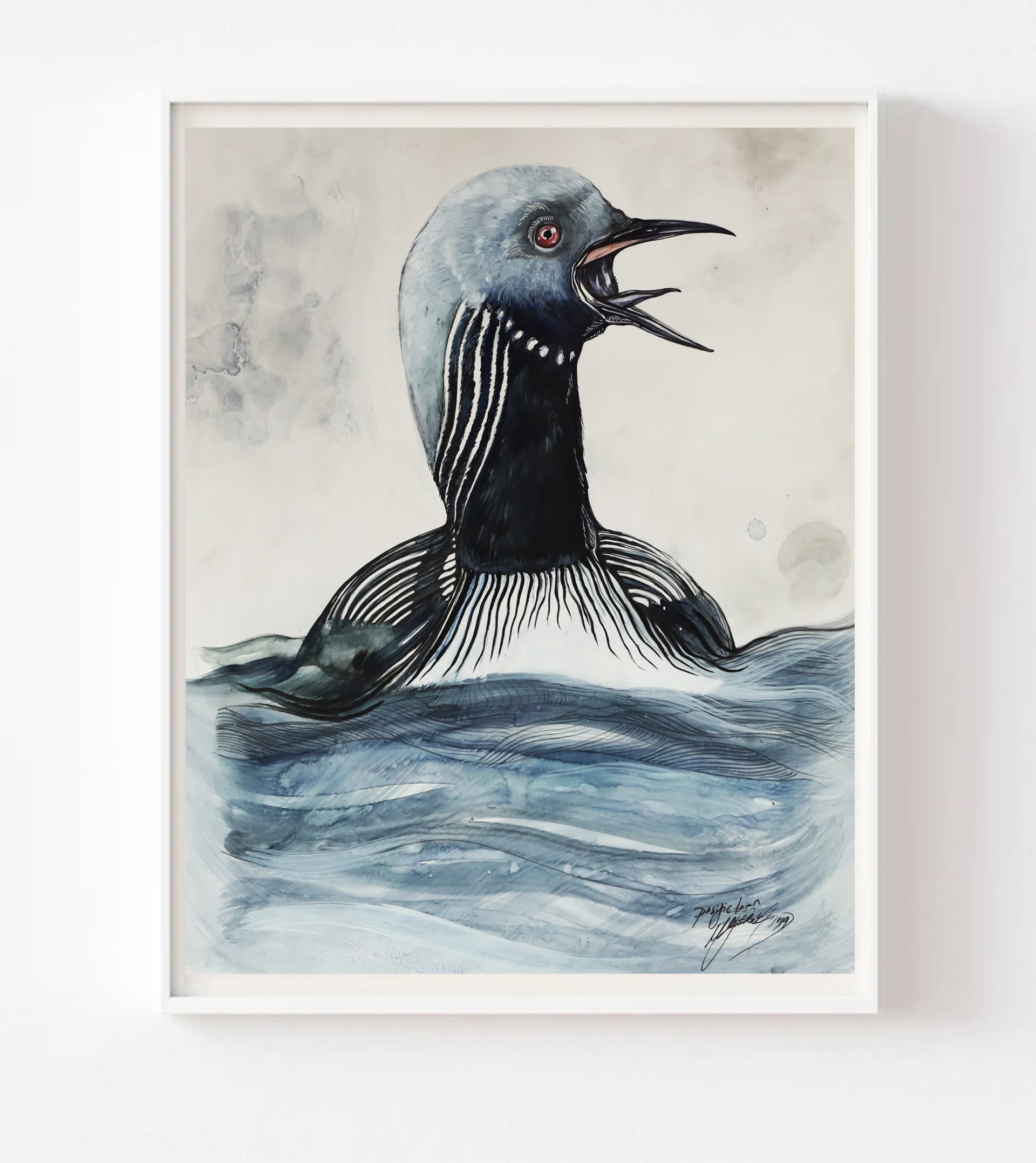 Pacific Loon