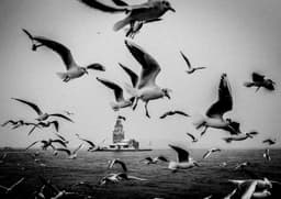 Kız Kulesinde Kış - Görsel 1