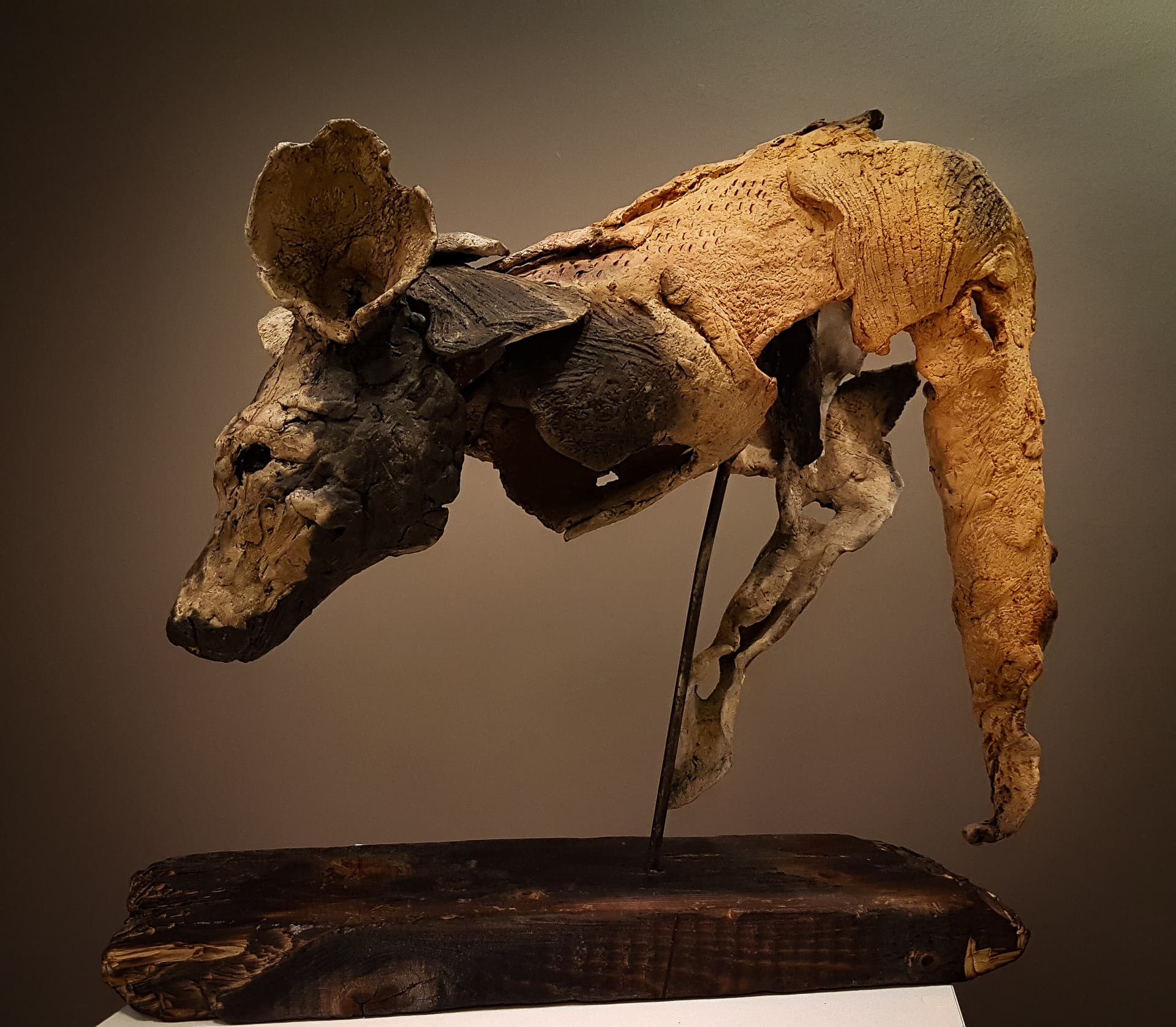 Sırtlan  - Görsel 1