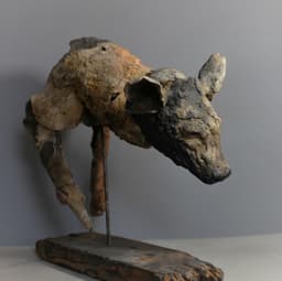 Sırtlan  - Görsel 2