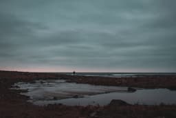 Ölü Mavi - Görsel 2