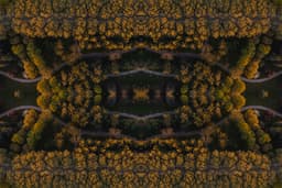 Sonsuz 1 - Görsel 1