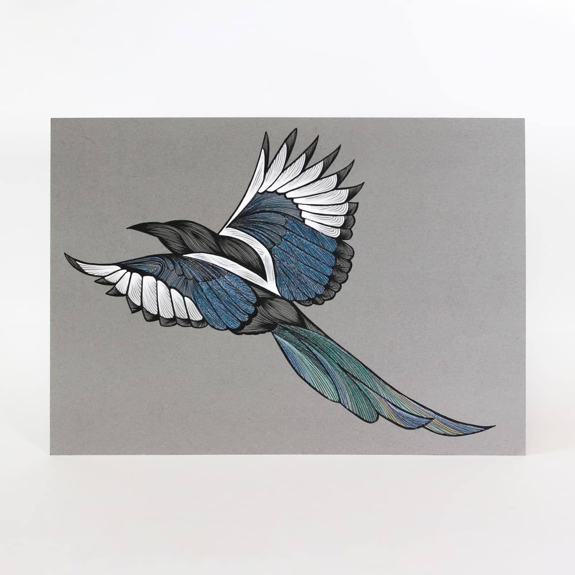 Saksağan - Görsel 1