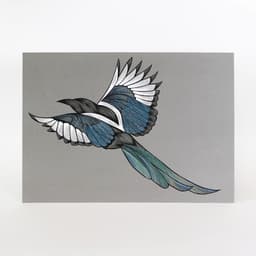 Saksağan - Görsel 1