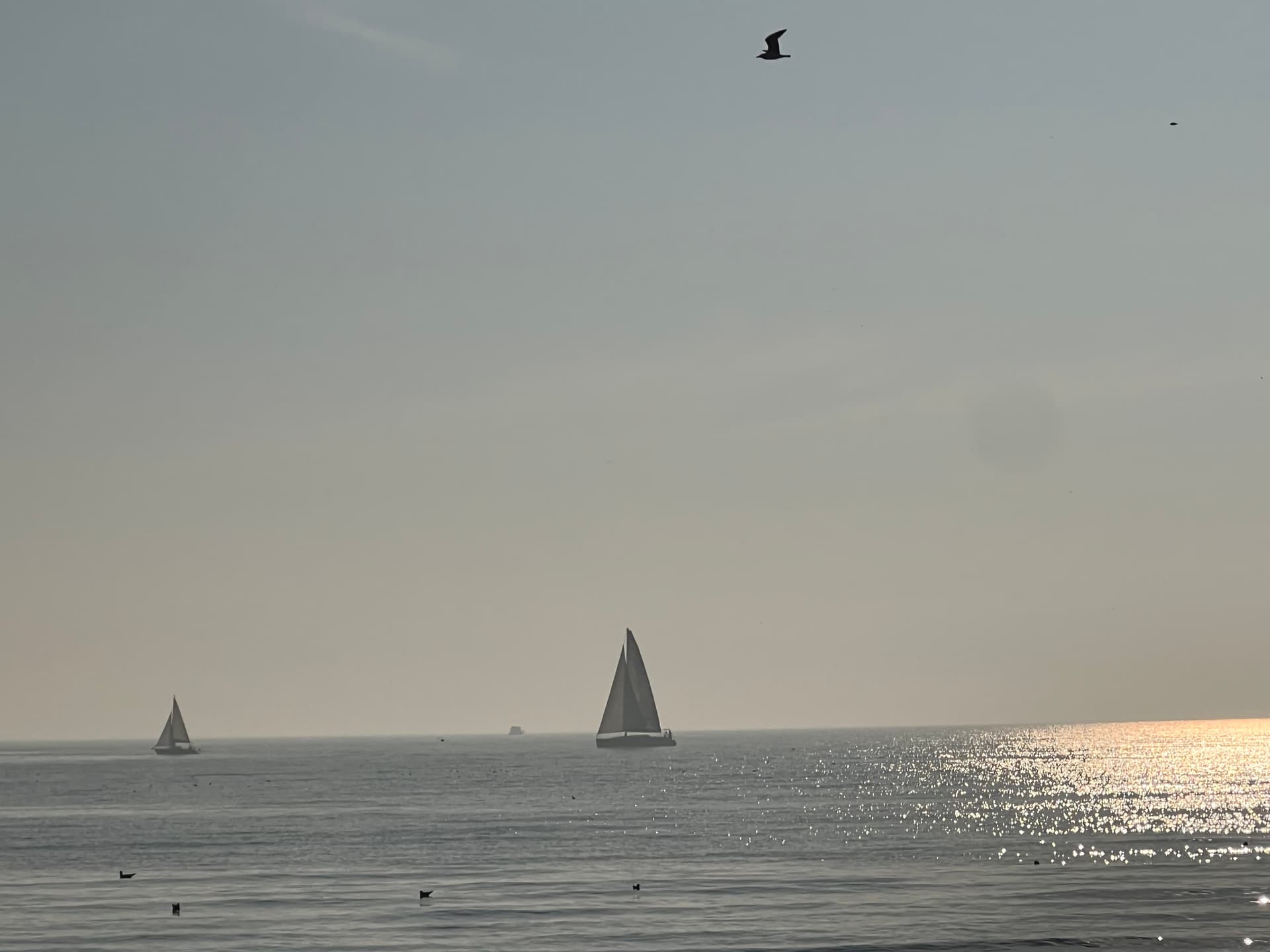 Yaşamdan İzler - Görsel 1