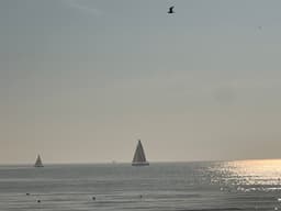 Yaşamdan İzler - Görsel 1