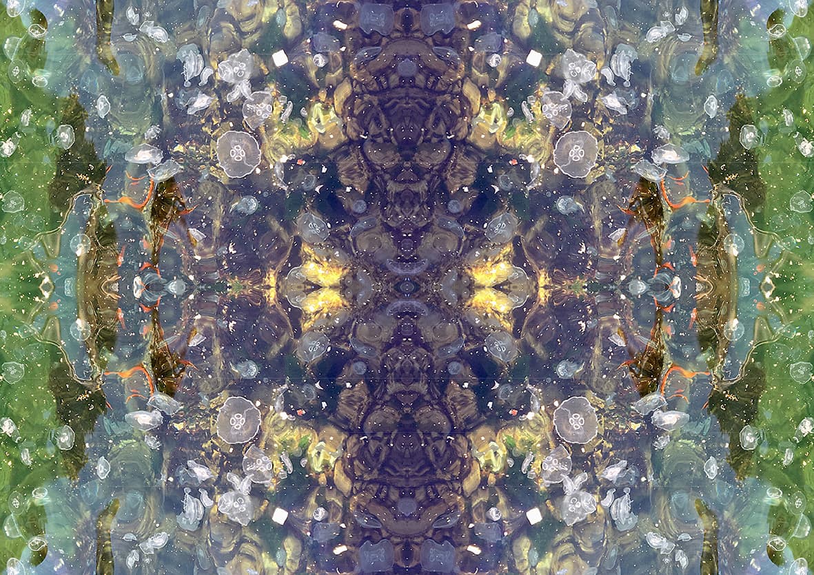 Medusae 2 - Görsel 1