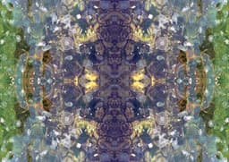 Medusae 2 - Görsel 1