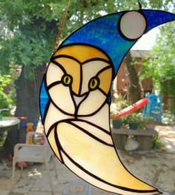 Ay ve Baykuş - Görsel 1