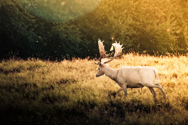 The colors of my sea.