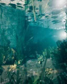 Yanılsama - Görsel 1