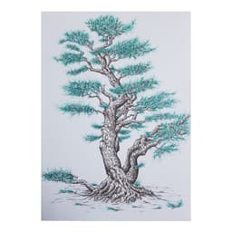 Bir Nefes-Bonsai 2 - Görsel 1