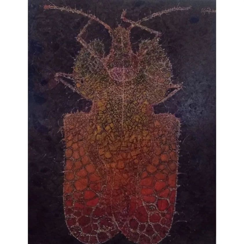 Dantel Böceği - Görsel 1