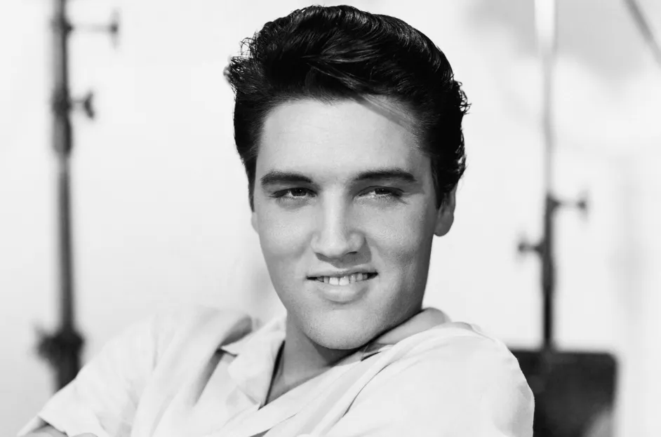 sanatci elvis presley