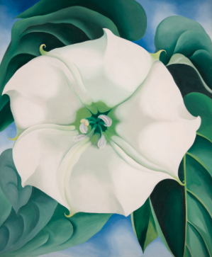 Georgia O'Keeffe Kimdir? Hayatı, Sanatı ve Eserleri Georgia O'Keeffe Kimdir? Hayatı, Sanatı ve Eserleri